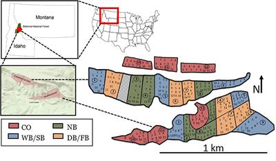 Fuel Treatment Longevity in Ponderosa Pine-Dominated Forest 24 Years After Cutting and Prescribed Burning